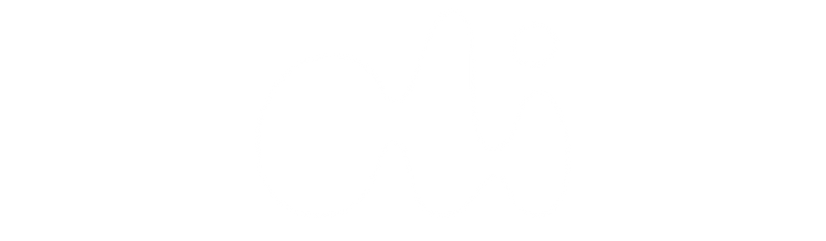 Oli's Lab logo France